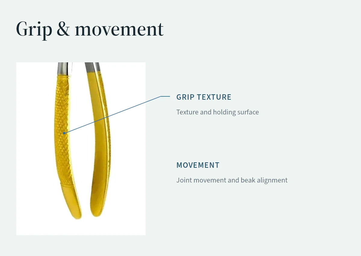 The handle and grip of extraction forceps shown in detail.