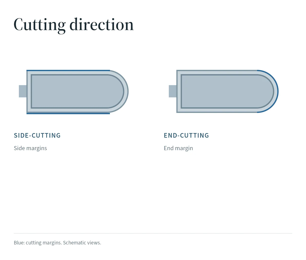 Blue highlights locate side and end cutting margins in simplified rongeur jaw diagrams.