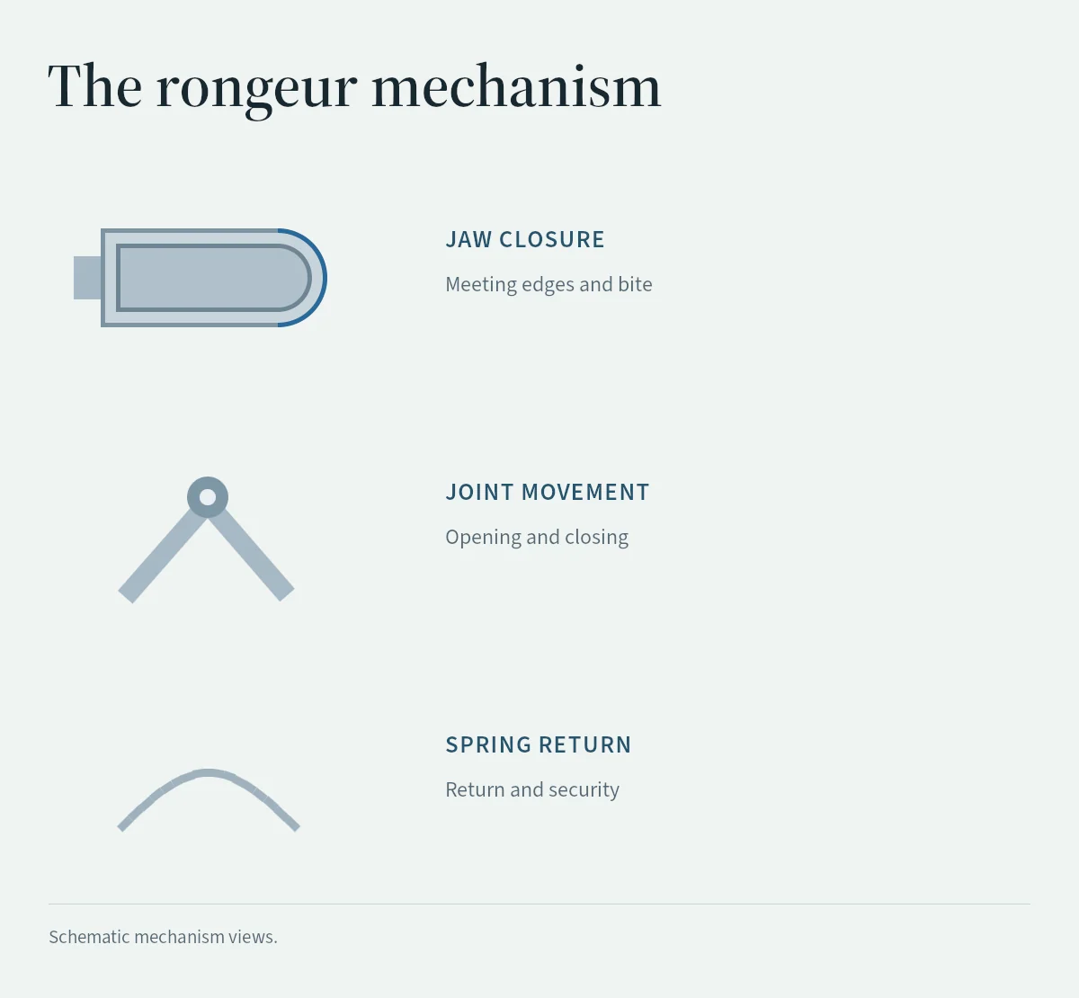 Schematic rongeur checks distinguish jaw closure, joint movement and spring return.