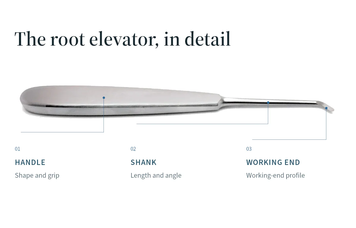 A root elevator annotated to distinguish its handle, shank and working end.