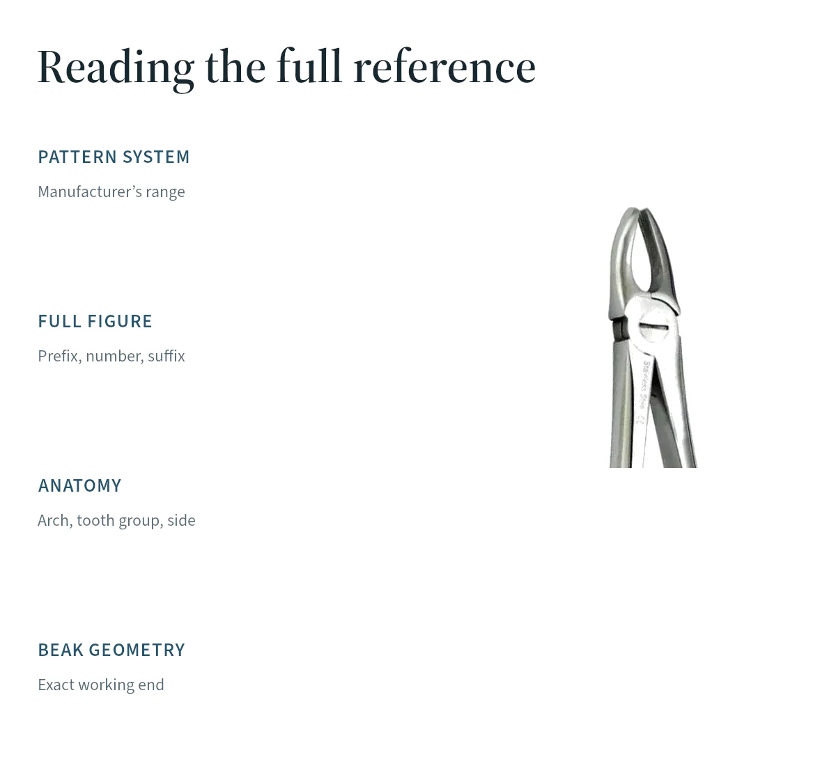 A forceps head accompanies the four reference checks: pattern system, full figure, anatomy and beak geometry.