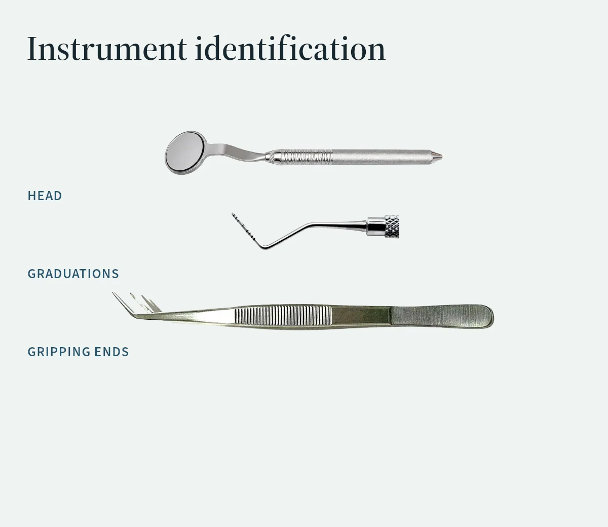 Mirror head, probe graduations and cotton-plier gripping ends highlight useful identification features.