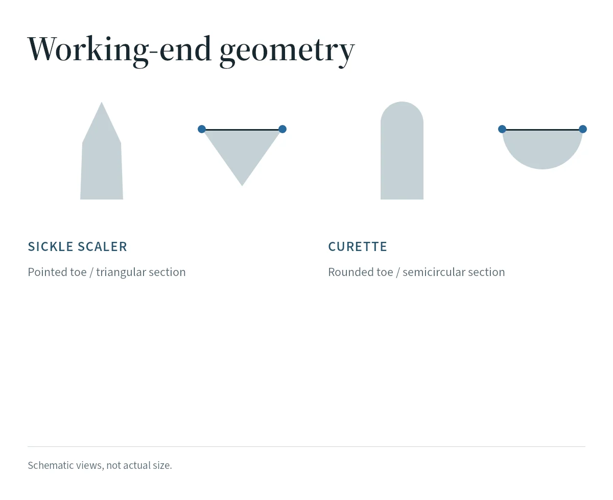 Schematic working ends compare a pointed sickle scaler with rounded curette toes.