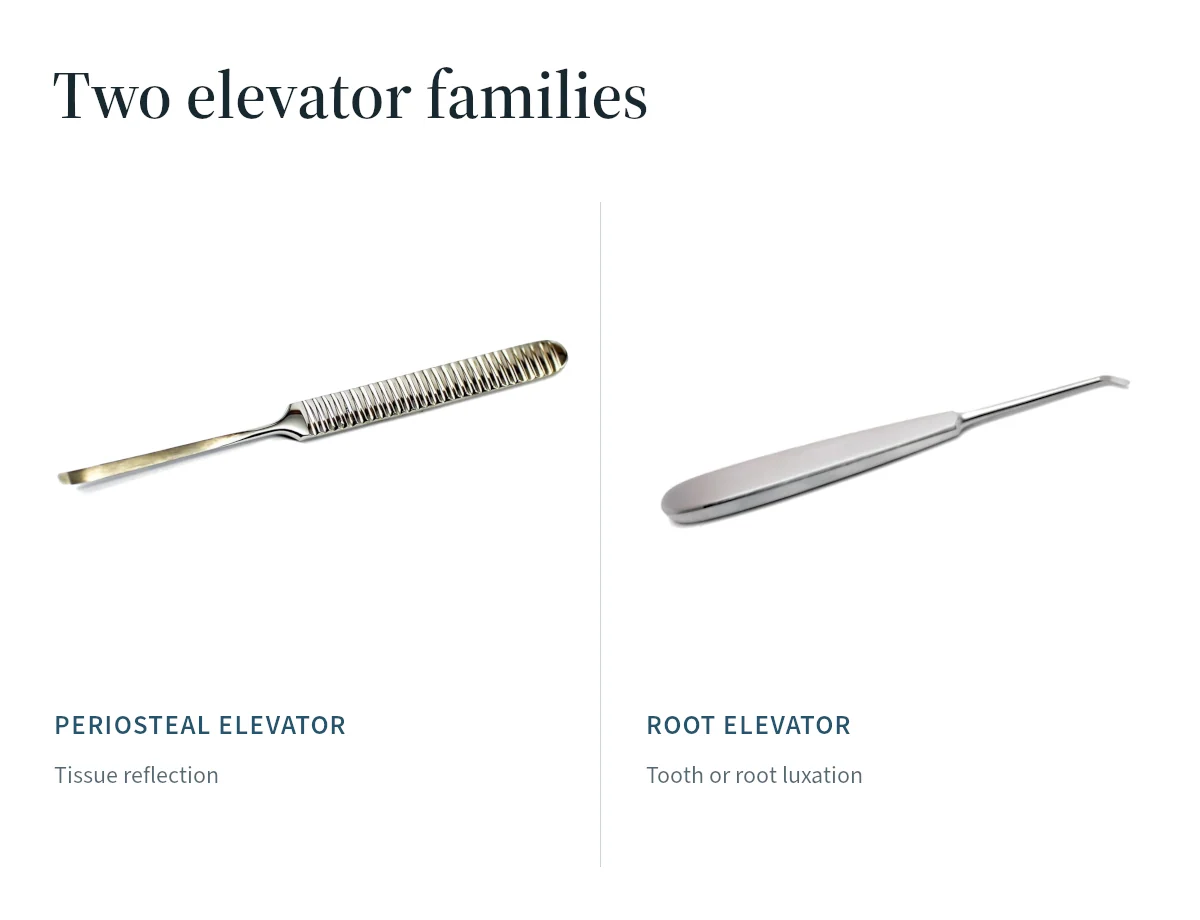 Root and periosteal elevator forms compared by their different working ends and roles.